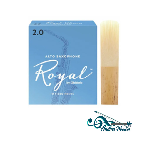 CAÑA RICO ROYAL SAXO #2