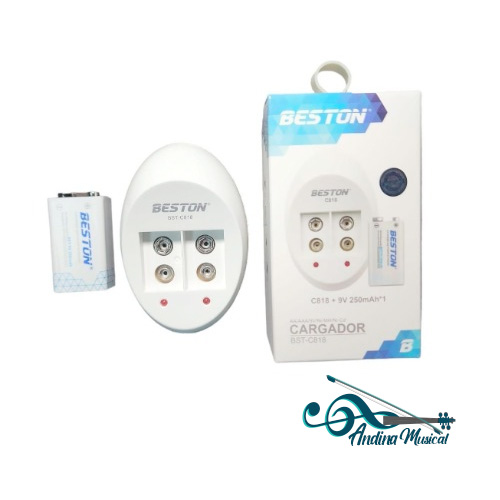 CARGADOR BESTON BST-C818 PARA 9V CON UNA BATERIA 9V