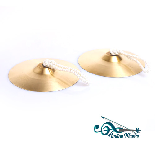 PLATILLOS CHINCHINES TCY6P