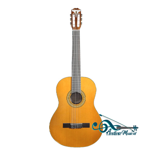 GUITARRA ACUSTICA EPIPHONE CLASICA EAP2ANCH1